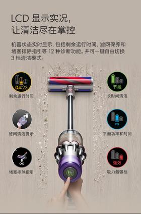 1F dyson戴森无绳吸尘器 2022款V10SlimFluffy