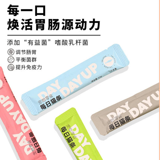 【新客福利】金多乐每日猫条12g*4支 商品图3