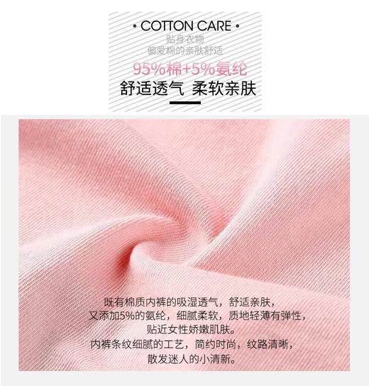 AB内裤【2条装】弹力棉小平脚裤中低腰抗菌棉质短裤Y138 商品图2