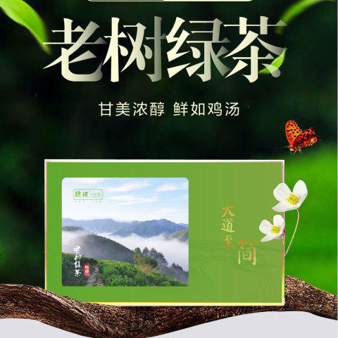 新茶大道至简 • 老树绿茶125克（50包*2.5克） 商品图7