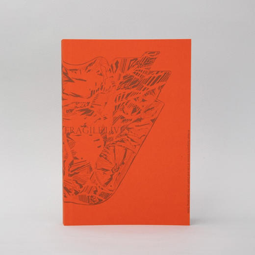 打开一颗心 斯蒂芬·韦斯塔比 著 文学 商品图2