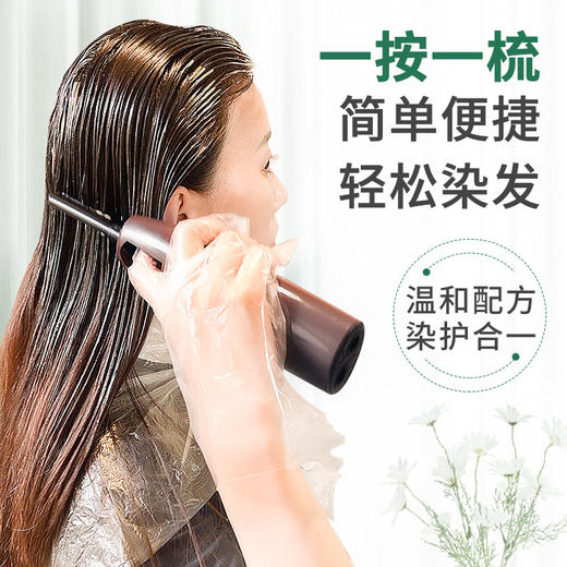 百年扁氏易梳彩黑 商品图6