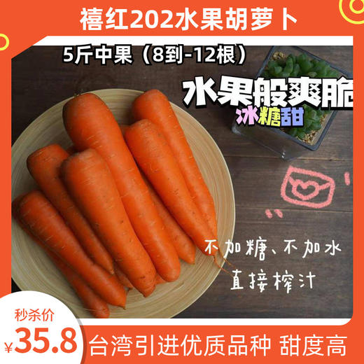 【秒杀】禧红水果胡萝卜5斤装（8-12根） 商品图0