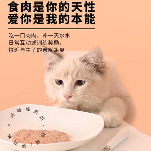 【新客福利】金多乐每日猫条12g*4支 商品图4