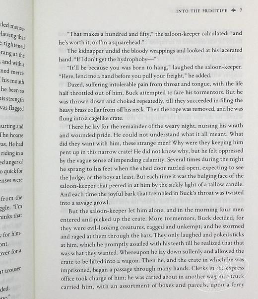 【中商原版】查特威尔经典 野性的呼唤与白牙 The Call of the Wild and White Fang 英文原版 杰克 伦敦 Jack London 商品图6