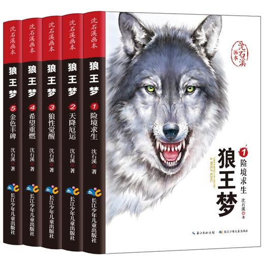 【8-14岁】《沈石溪画本·狼王梦》（全5册）动物小说大王经典力作  小学生课外阅读经典书籍 商品图0