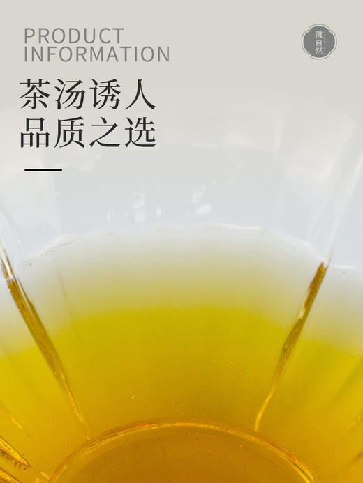 福鼎老白茶  罐装  150g 商品图3