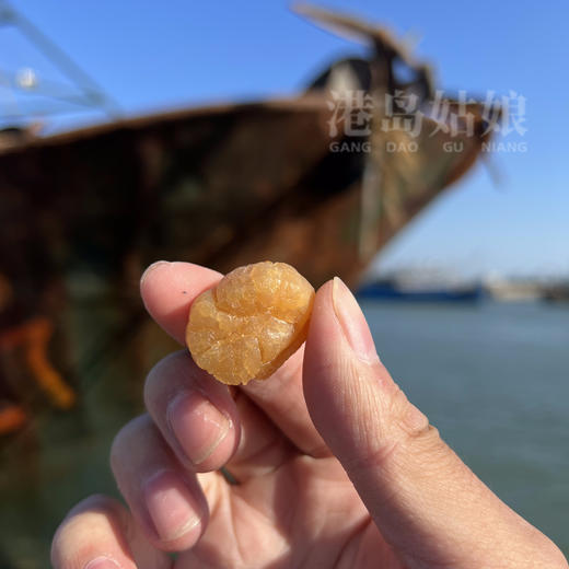 港岛姑娘 精选精品特级超大元贝天然淡干超大瑶柱扇贝肉粒粒饱满肉质厚实 250g40个 商品图2