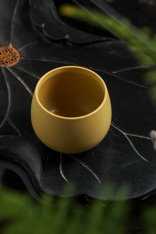 朗月单杯A 商品图13