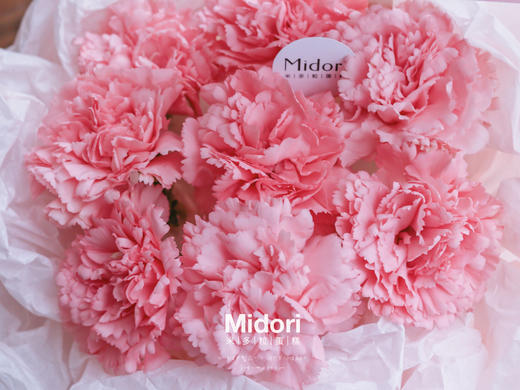 388元蛋糕任选（充值2999元客户赠送，单独配送需另付运费） 商品图2