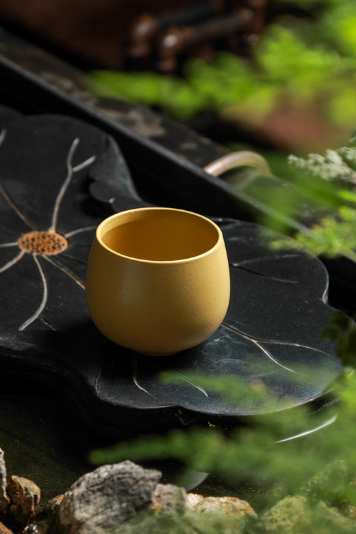 朗月单杯A 商品图12