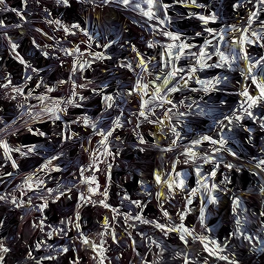 & 东山岛头水紫菜，全国闻名 商品图4