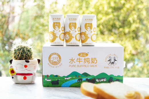 冰淇淋口感 ！【左江水牛纯奶】原生放牧 珍贵奶源  宝宝儿童牛奶  香浓甘甜 牛奶醇香 210ml*10盒/箱 商品图6