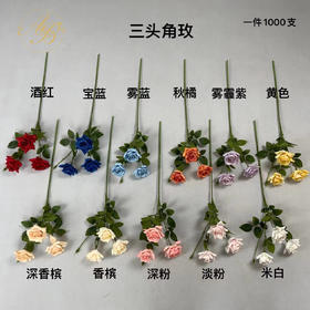 三头角玫（运费自理）