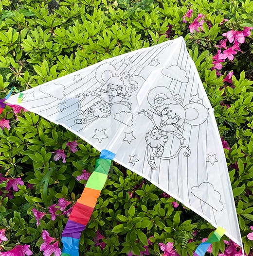 直播间-单件包邮-DIY涂色风筝套装（风筝一枚，12色水彩笔一包，30米风筝线轴） 商品图12