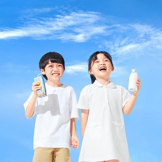 认养一头牛 纯奶 一提装 250ml*12/两箱装 250ml*12*2 商品图1