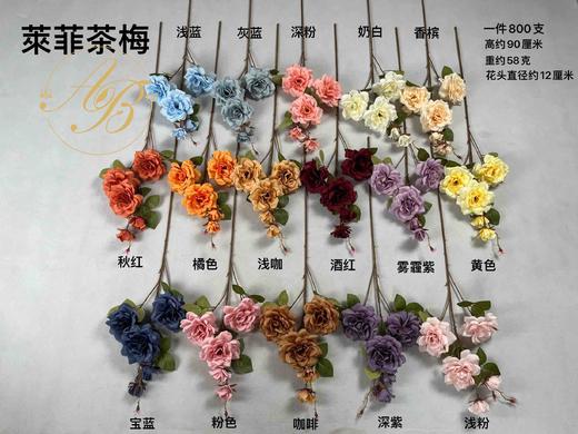 萊菲茶梅（运费自理） 商品图0