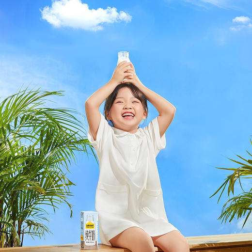 认养一头牛 纯奶 一提装 250ml*12/两箱装 250ml*12*2 商品图5