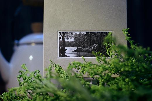 【读者的精神栖息地】《梭罗文集：瓦尔登湖+四季之歌+夜色和月光》（全3册） 商品图12