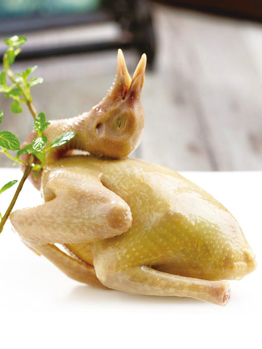 金陵盐水卤鸽王1只装江浙沪皖包邮