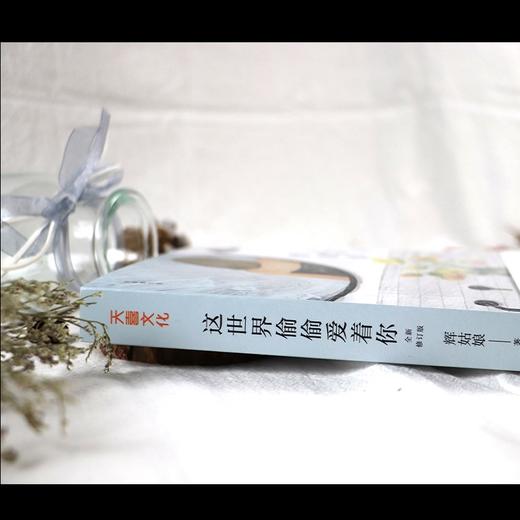 (仓发) 这世界偷偷爱着你（全新修订版，新增2万字，附赠精美书签）/天地出版社/辉姑娘/9787545563207 商品图8
