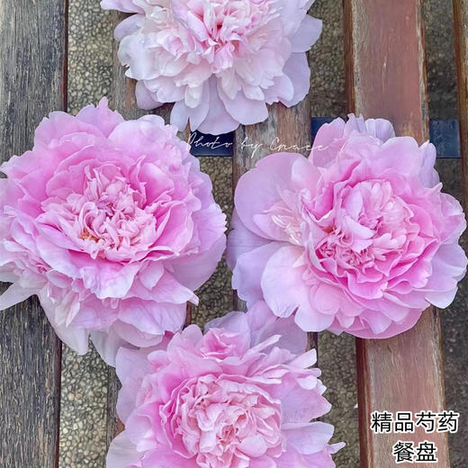 精品花材餐盘芍药花5支 商品图10