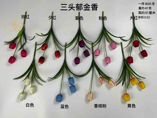 三头郁金香（运费自理） 商品图0