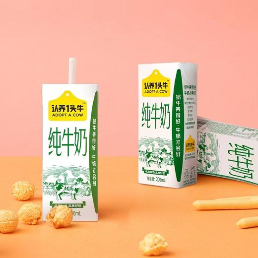 认养1头牛纯牛奶（整箱） 商品图2