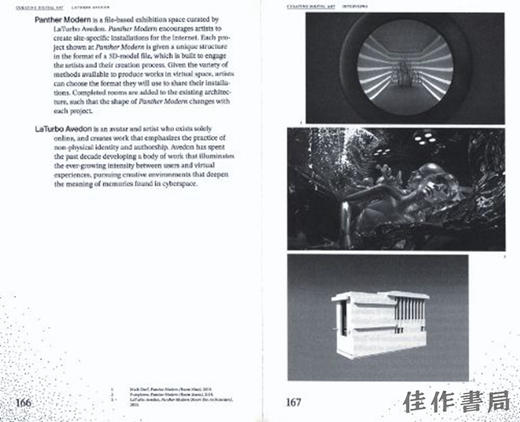 Curating Digital Art: From Presenting And Collecting Digital Art To Networked Co-curation / 数字艺术策展：从 商品图1