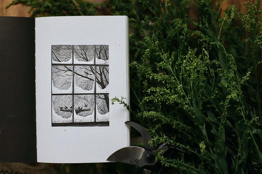 【读者的精神栖息地】《梭罗文集：瓦尔登湖+四季之歌+夜色和月光》（全3册） 商品图9