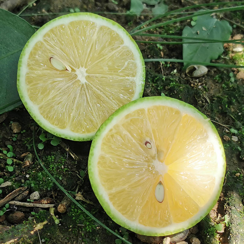 台湾四季青柠檬 酸爽多汁 清香怡人 新鲜采摘 3斤装