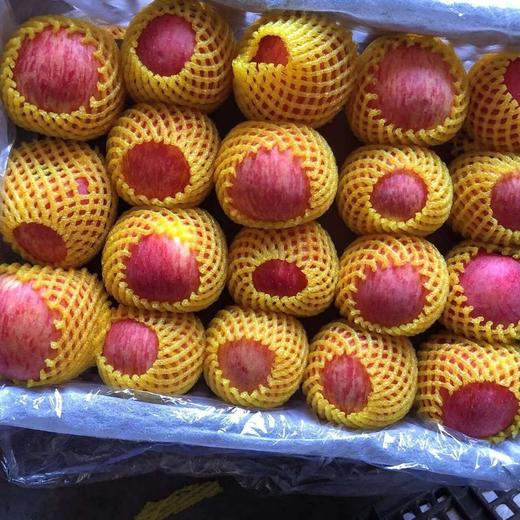 洛川红 富士 苹果 脆甜5斤 商品图0