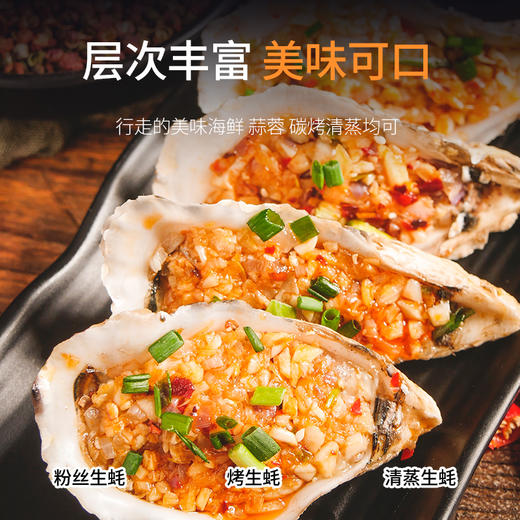 【直发】带壳生蚝2500g 商品图2