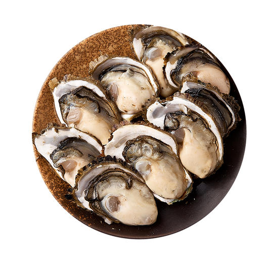 【直发】带壳生蚝2500g 商品图3