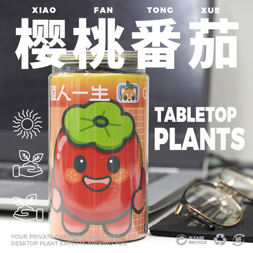 植人一生：植物盆栽系列 商品图1