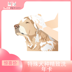 特殊犬种精致洗护次卡（中南店）