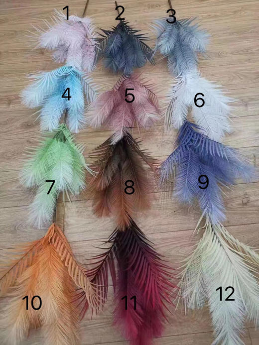 5头芦苇（运费自理） 商品图0