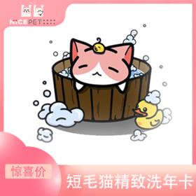 短毛猫精致洗护次卡（中南店）