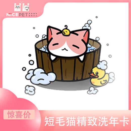 短毛猫精致洗护次卡（中南店） 商品图0