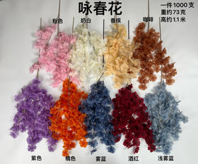 咏春花（运费自理）