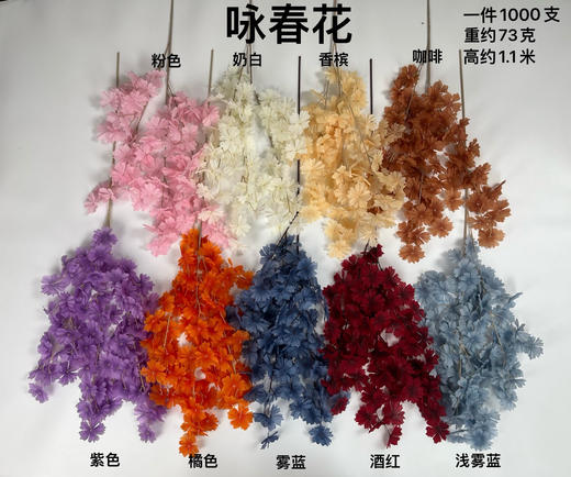 咏春花（运费自理） 商品图0