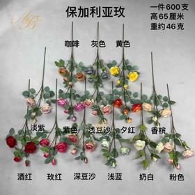 保加利亚玫（运费自理）