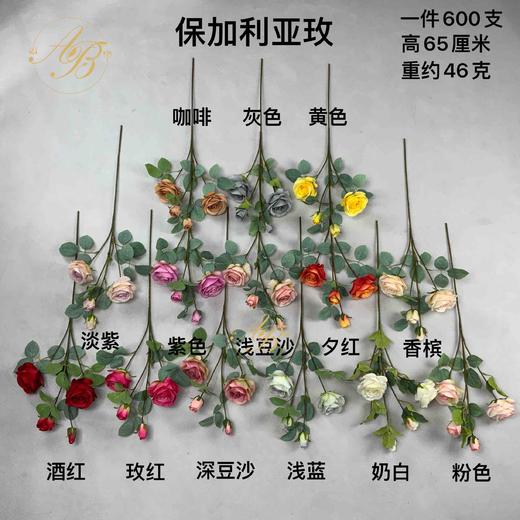 保加利亚玫（运费自理） 商品图0