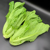 【生鲜预定】大苦菜1kg 商品缩略图0