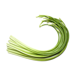 蒜苔 约500g  【BC】【XZ】