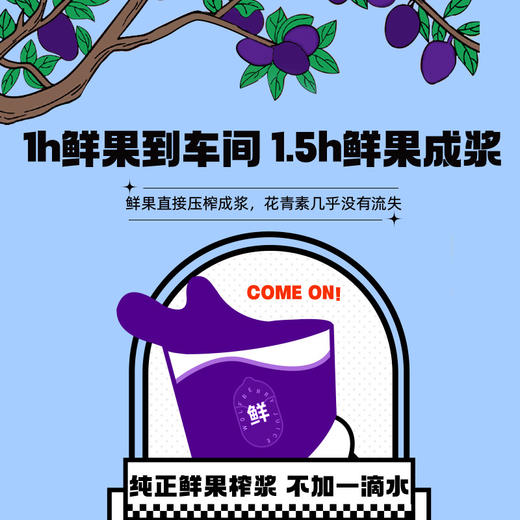 杞里香默小吉黑枸杞原浆210ml*4盒（7袋/盒） 商品图1