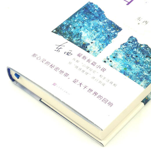 2021中国好书 回响 东西长篇力作 拆解心理现实和生活真相+情感推理侦破推理小说模式中国现当代文学正版书籍畅销书人民文学 商品图2