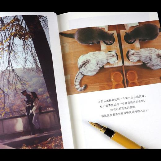 (仓发) 这世界偷偷爱着你（全新修订版，新增2万字，附赠精美书签）/天地出版社/辉姑娘/9787545563207 商品图6