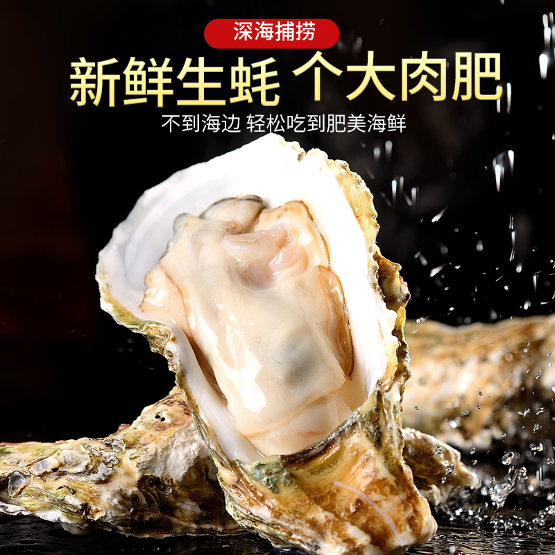 【直发】带壳生蚝2500g