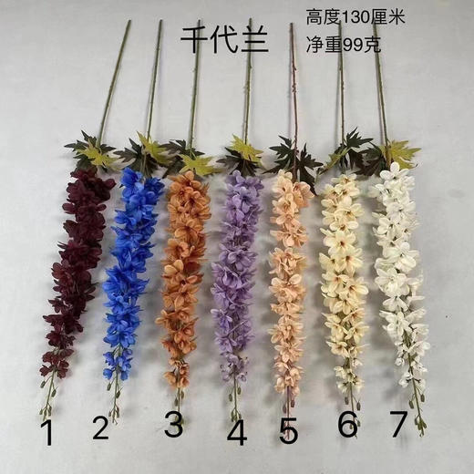 千代兰（运费自理） 商品图0